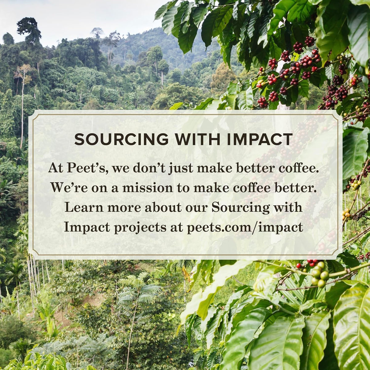 Peet's Coffee, Dark Roast Keurig K-Cup Pods, 100% Arabica Coffee - Major Dickason's Blend 75 Count (1 Box of 75 Pods) (Pack of 2)